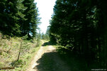 dsc_0478.jpg