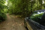 DSC_1205.jpg