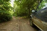 DSC_1212.jpg