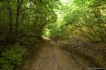 DSC_1223.jpg