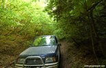 DSC_1225.jpg