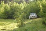 DSC_1294.jpg