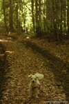 DSC_1251.jpg