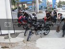 DSCF0137800x600.jpg