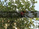 29-30Bozda079.jpg