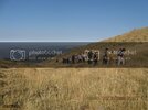 29-30Bozda131.jpg