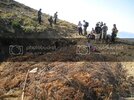 29-30Bozda143.jpg