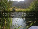 IMG_3961.jpg