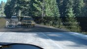 HititRallisi028.jpg