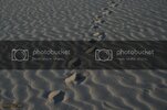 Barreirinhas259.jpg Barreirinhas259.jpg