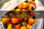 Barreirinhas572.jpg Barreirinhas572.jpg