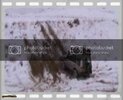th_M2U00089.jpg