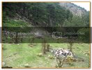 ekerBayram-Kamp031.jpg