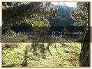 ekerBayram-Kamp049.jpg