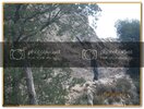 ekerBayram-Kamp054.jpg