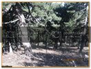 ekerBayram-Kamp104.jpg