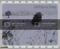 th_ucanpajero.jpg