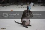 IMG_3797.jpg