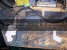100_4947.jpg