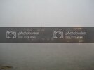 DSC07157.jpg