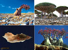 Socotra_Island_01.jpg