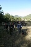 IMG_7619.jpg