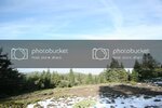 IMG_7682.jpg