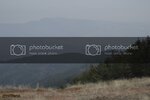_IMG0121.jpg