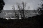 _IMG0049.jpg