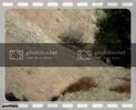 th_MOV03441.jpg