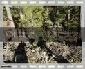 th_MOV03543.jpg