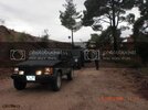CIMG1501.jpg