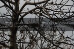 DSC_0120.jpg