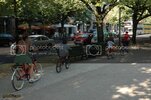 DSC_0461_resize.jpg