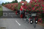 DSC_1383_resize.jpg