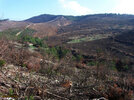 IMG_7474.jpg
