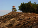 IMG_7519.jpg