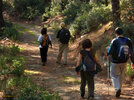 IMG_7552.jpg