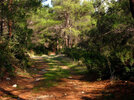 IMG_7554.jpg