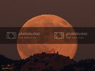 LickMoonrise_baldridge_c800.jpg