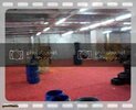 th_101_6687.jpg