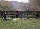 IMG_0483Masastznrl.jpg