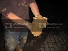 IMG_0508Masastznrl.jpg