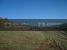 DSC03664-web.jpg