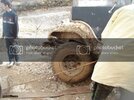 DSC03734-web.jpg