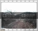 th_MOV03629.jpg