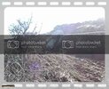 th_MOV03676.jpg