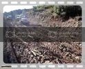 th_MOV03685.jpg