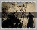 th_MOV03692.jpg