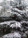 101_6802.jpg